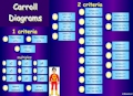 Carroll Diagrams Interactive (Gordons)
